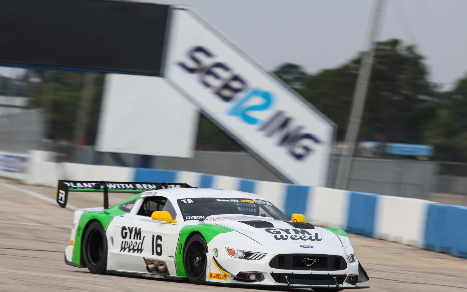 Dyson, Bryson, Matos, Tracy and Merrill Offer Thoughts Going Into 2025